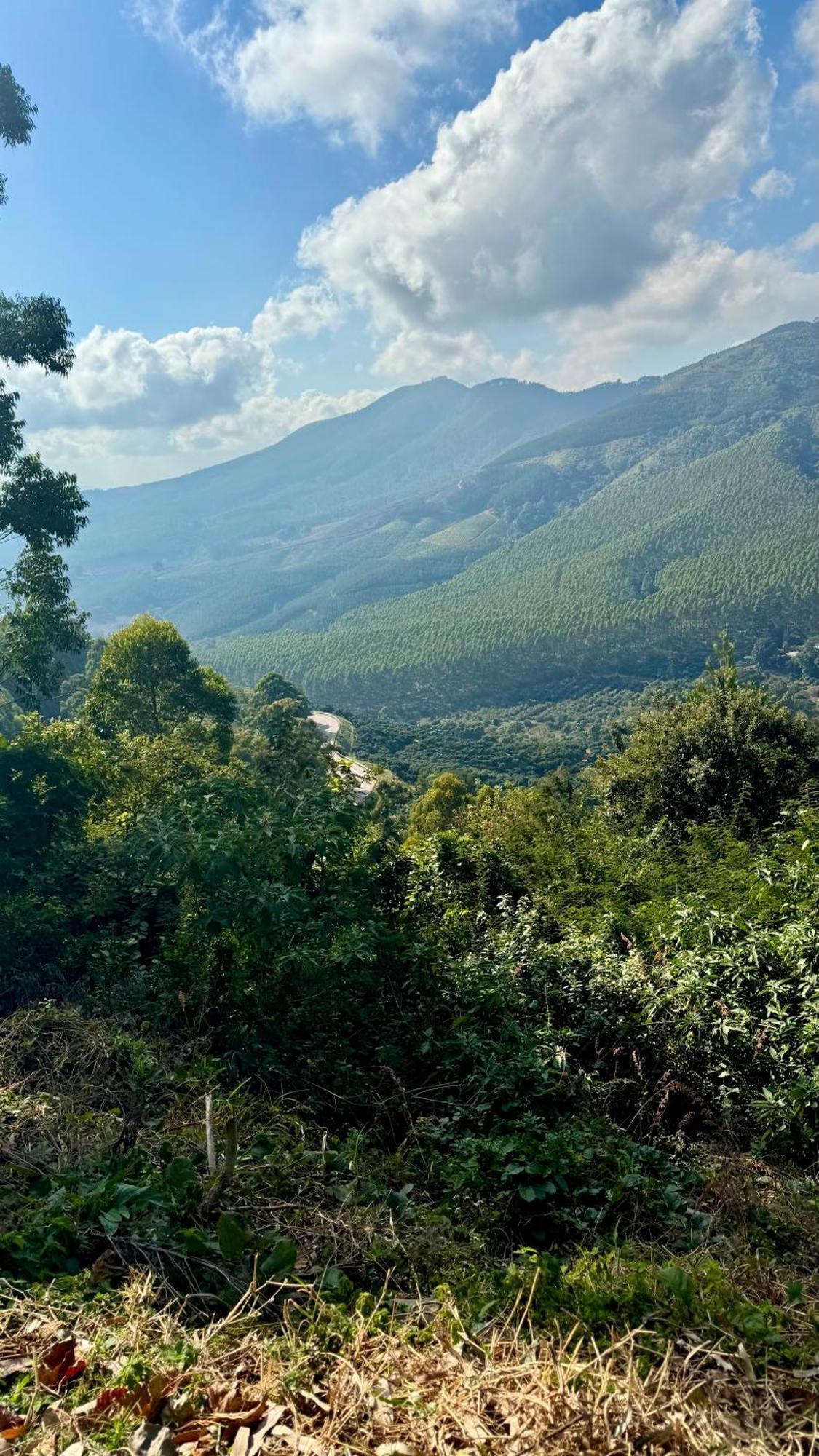 Magoebaskloof Mountain Lodge ซานีน ภายนอก รูปภาพ